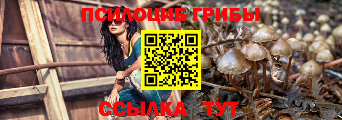 Псилоцибиновые грибы Psilocybe  Вход с VPN  Галлюциногенные грибы Psilocybine cubensis  Сызрань 